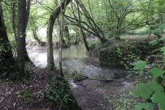 5-Egford-Brook-joins-Mells-River