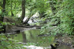 8-Egford-Brook-upstream-from-Mells-River-join