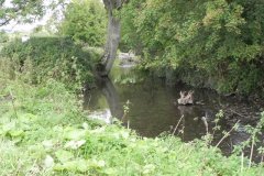 C. Keward Park Bridge to join with River Sheppey