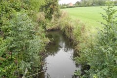 98.-Looking-Upstream-from-Littlewell-Farm-Bridge