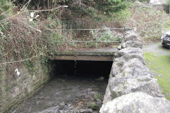 20.-Lower-Lane-Culvert-Outlet