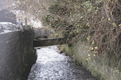 21.-Downstream-from-Lower-Lane-Culvert