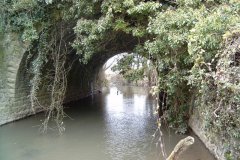 16.-Disused-Railway-Bridge
