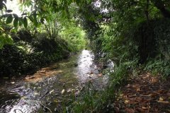 1A.-Looking-Downstream-from-Ford