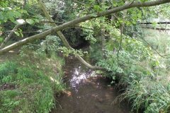 7.-Looking-downstream-from-ROW-Footbridge-5436