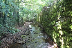 10.Looking-downstream-fromHatch-Green-Footbridge