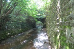 14.-Looking-downstream-to-Hatch-Green-footbridge