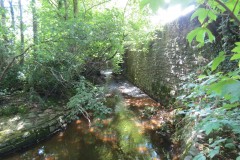16.-Upstream-from-Hatch-Green-footbridge