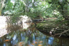 18.-Upstream-from-Hatch-Green-footbridge