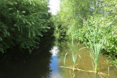 20.-Upstream-from-Hatch-Green