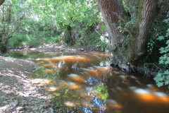 25.-Upstream-from-Hatch-Green