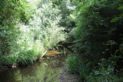 30.-Upstream-from-Hatch-Green
