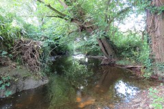 42.-Upstream-from-Higher-Mill-Accommodation-bridge
