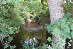 43.-Upstream-from-Higher-Mill-Accommodation-bridge