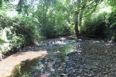 46.-Upstream-from-Higher-Mill-Weir