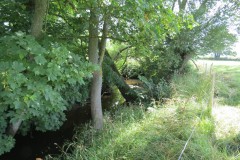 47.-Upstream-from-Higher-Mill