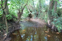 48.-Upstream-from-Higher-Mill