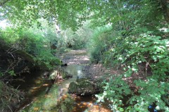 49.-Upstream-from-Higher-Mill