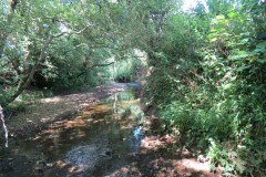 50.-Upstream-from-Higher-Mill