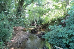 51.-Upstream-from-Higher-Mill