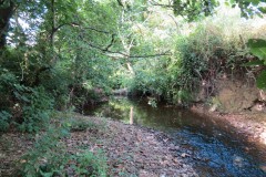 53.-Upstream-from-Higher-Mill