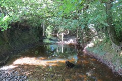 54.-Upstream-from-Higher-Mill
