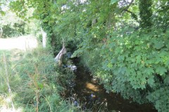 55.-Upstream-from-Higher-Mill