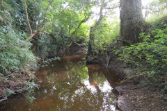56.-Downstream-from-Elm-Bridge