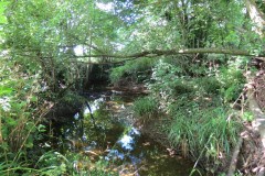 57.-Downstream-from-Elm-Bridge