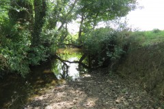 59.Downstream-from-Elm-Bridge