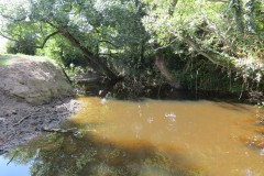 61.-Downstream-from-Elm-Bridge