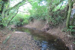 64.-Downstream-from-Elm-Bridge