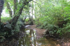 65.-Downstream-from-Elm-Bridge