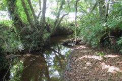 66.-Downstream-from-Elm-Bridge