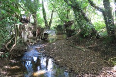 67.-Downstream-from-Elm-Bridge
