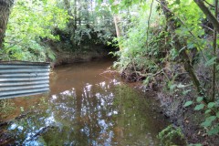 68.-Downstream-from-Elm-Bridge