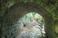 9.-Looking-downstream-through-Hatch-Green-Footbridge