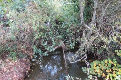 10.-Looking-downstream-from-Durleigh-Brook-Farm-Accommodation-Bridge