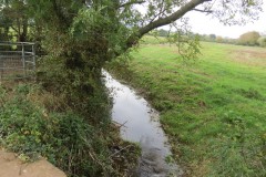 12.-Upstream-from-ROW-Accommodation-Bridge-No-2