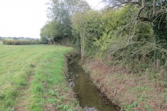 15.-Downstream-from-ROW-Bridge-No.-755-3