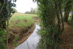17.-Downstream-from-ROW-Bridge-No.-755-2