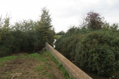 18.-Sluice-upstream-from-Haygrove-Farm-Accommodation-Bridge-4