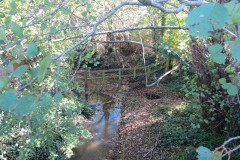 2.-Looking-downstream-from-Durleigh-Bridge