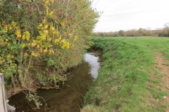 21.-Downstream-from-Haygrove-Farm-Accommodation-Bridge-1