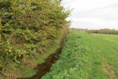 21.-Downstream-from-Haygrove-Farm-Accommodation-Bridge-2