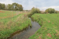 21.-Downstream-from-Haygrove-Farm-Accommodation-Bridge-7