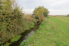 21.-Downstream-from-Haygrove-Farm-Accommodation-Bridge-9