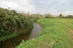 23.-Downstream-from-ROW-Bridge-601-2