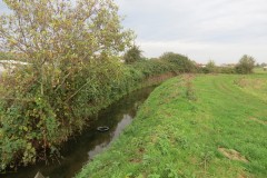 23.-Downstream-from-ROW-Bridge-601-3