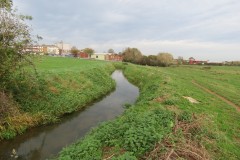 23.-Downstream-from-ROW-Bridge-601-5